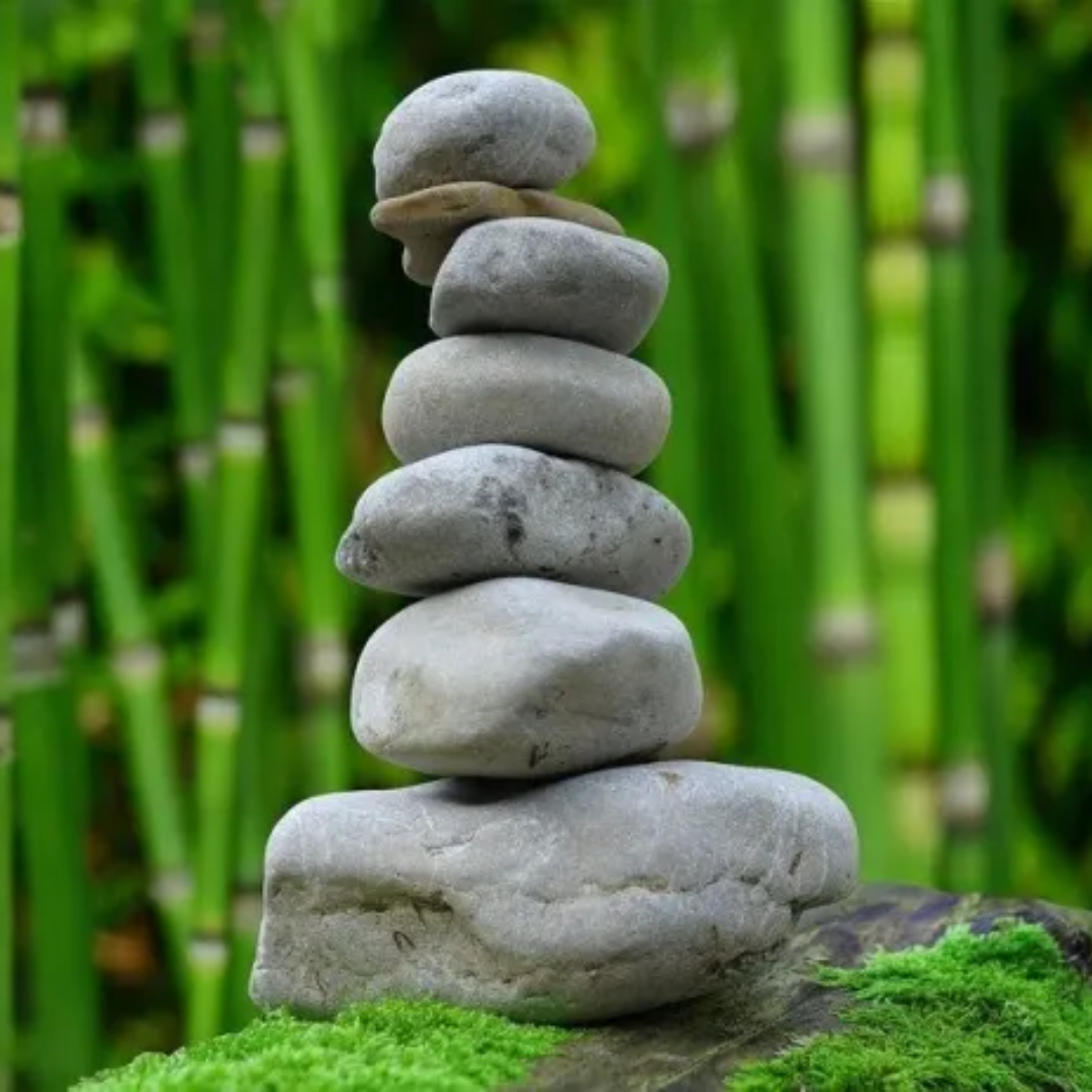 Jardin Zen