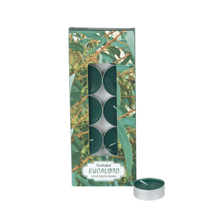 Vela Tealight  Eucalyptus