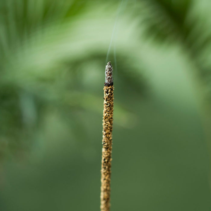 Sahumerio Palo Santo