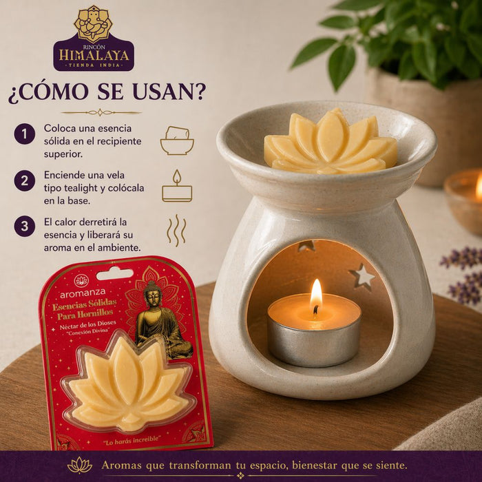 Esencia Sólida Dulces Frutillas