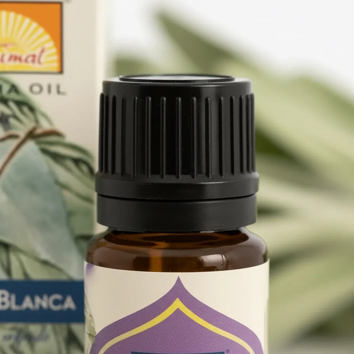 Aceite Aromático Salvia Blanca