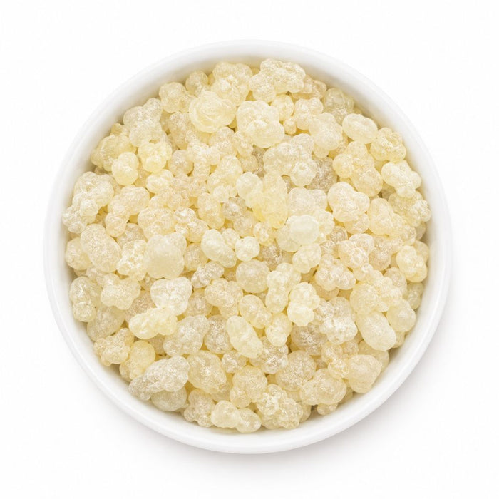 Resina Gumdammar 1 Kg