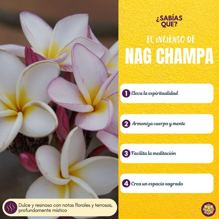 Incienso Cascada Nag Champa 24 conos