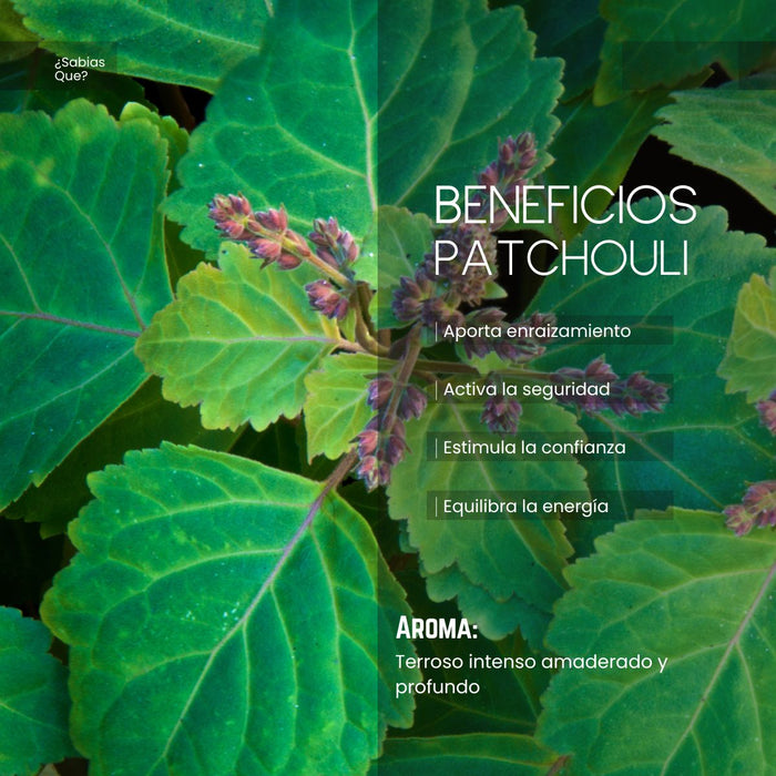 Aceite Aromático Pachulí Puro
