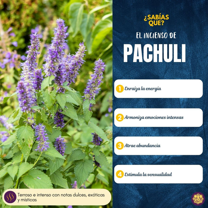 Incienso Premium Pachulí