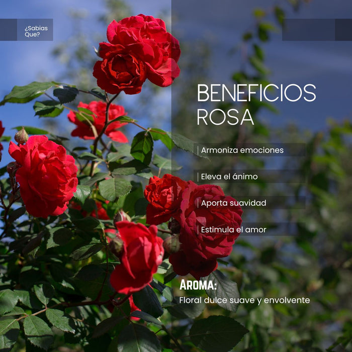 Aceite Aromático Rosa Mística