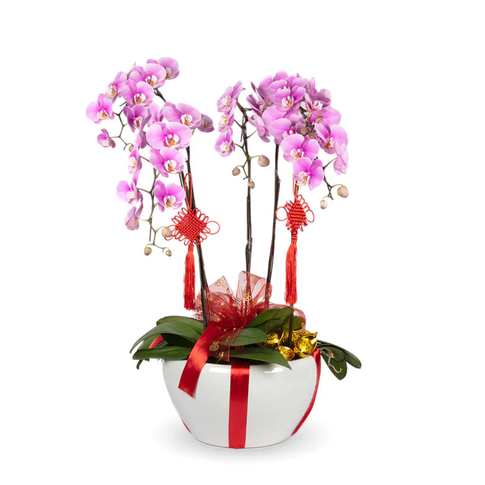 Nudo Chino de la Suerte