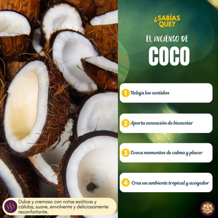 Incienso Cascada Coco 120 conos