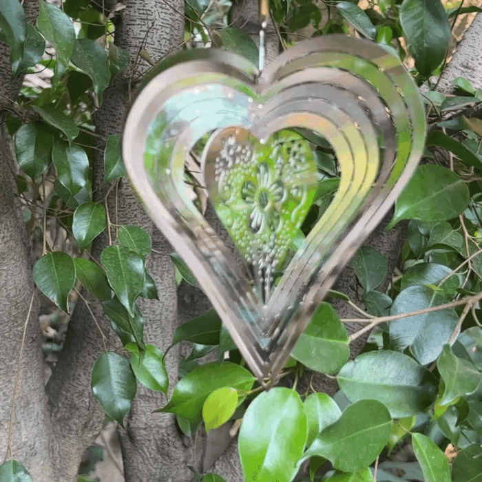 Anillo de Viento Corazon