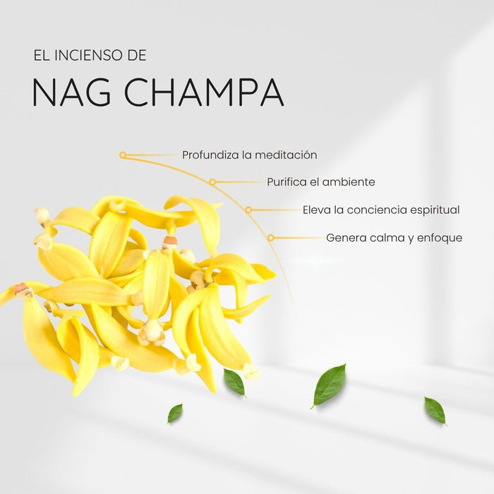 Incienso Nag Champa con Amatista